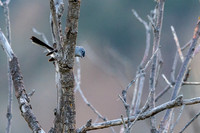 Colorado-MAK_9568