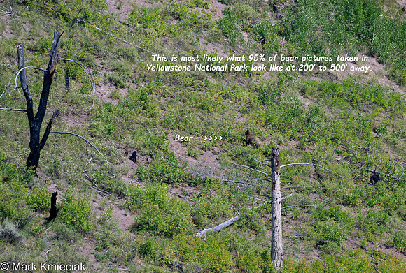 Yellowstone NP-_MAK1971-Edit