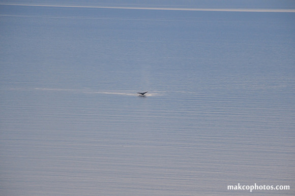 Alaska-2016-MAK_8467