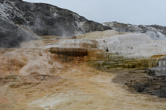 yellowstonetc-7503