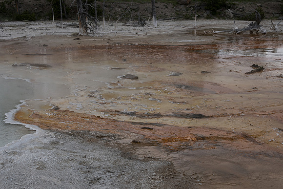 yellowstonetc-7102
