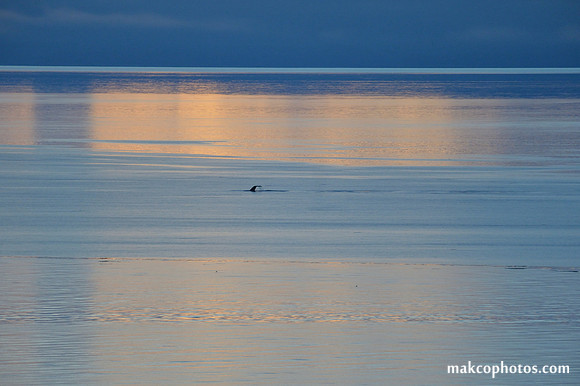 Alaska-2016-MAK_8428