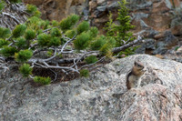 NationalParks-MAK_4306