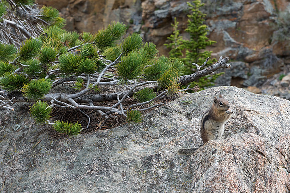 NationalParks-MAK_4306