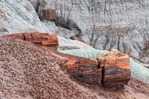 Petrified Forest-MAK_6215