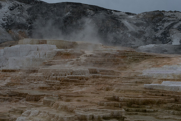 yellowstonetc-7514