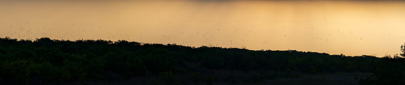 Migration _MAK2790-Pano-Enhanced-NR