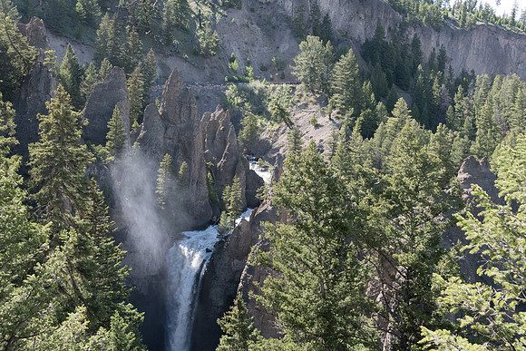 yellowstonetc-7412