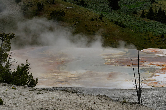 yellowstonetc-7527