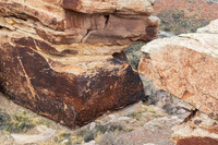 Petrified Forest-MAK_6199