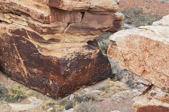 Petrified Forest-MAK_6199