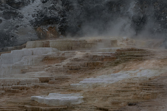 yellowstonetc-7517