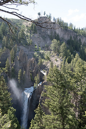 yellowstonetc-7411