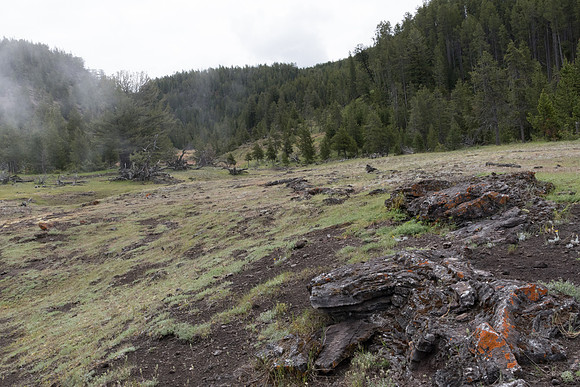 yellowstonetc-7232