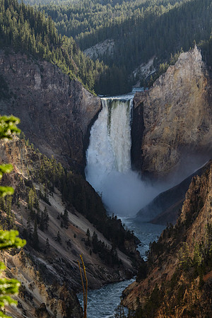 yellowstonetc-7001