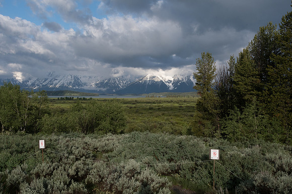 yellowstonetc-7705