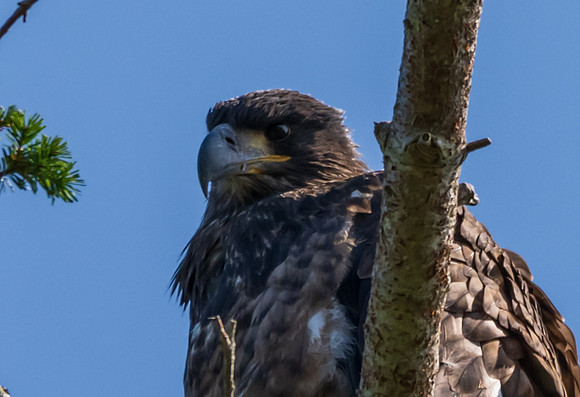 Whidbey Island-_MAK8046