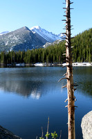 yellowstonetc-6749