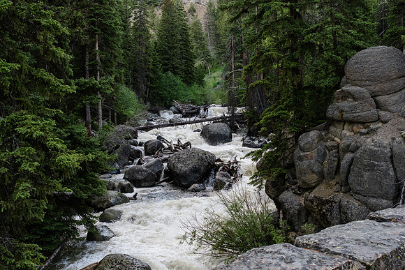 yellowstonetc-7451
