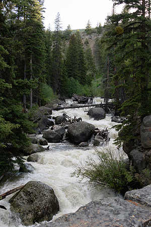 yellowstonetc-7453