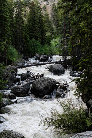 yellowstonetc-7450