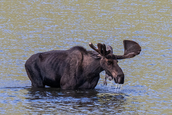 Rocky Mountain NP _MAK7120