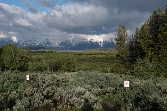 yellowstonetc-7706