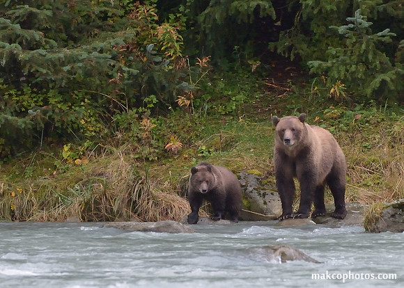 Alaska-2016-MAK_9130c