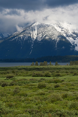 yellowstonetc-7710
