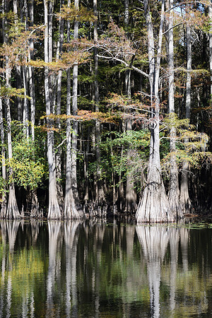 Caddo2016_LAK3197