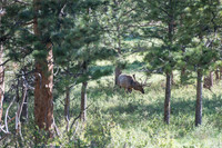 NationalParks-MAK_4136