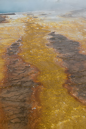 yellowstonetc-7073