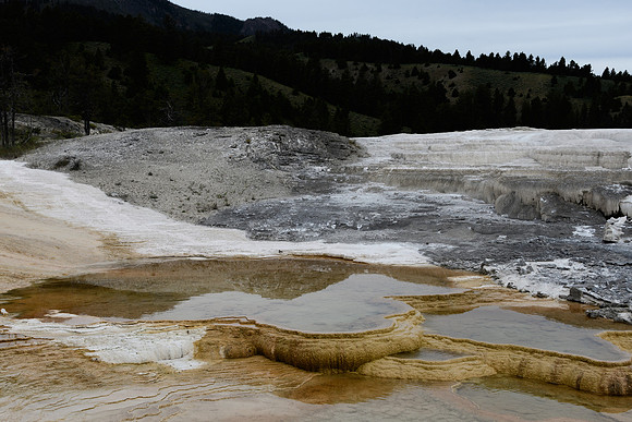 yellowstonetc-7501