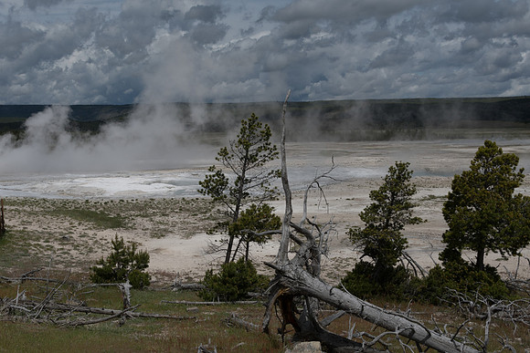 yellowstonetc-7289