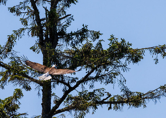 Whidbey Island-_MAK8185
