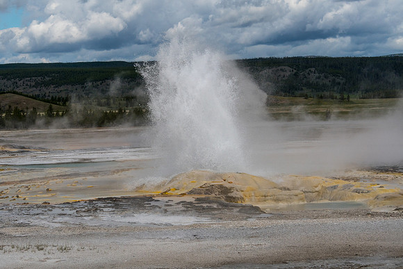 yellowstonetc-7331