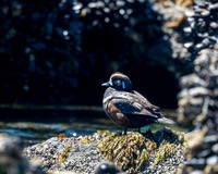 Cannon-Beach-LAK_1525