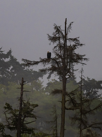 Deception Pass SP-_MAK7460