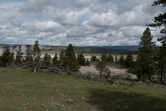 yellowstonetc-7287
