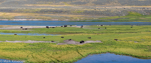 Yellowstone NP-_MAK1908-Pano-Pano