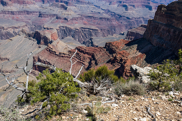 Grand Canyon-_MAK0219