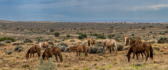 Hovenweep National Monument-8252