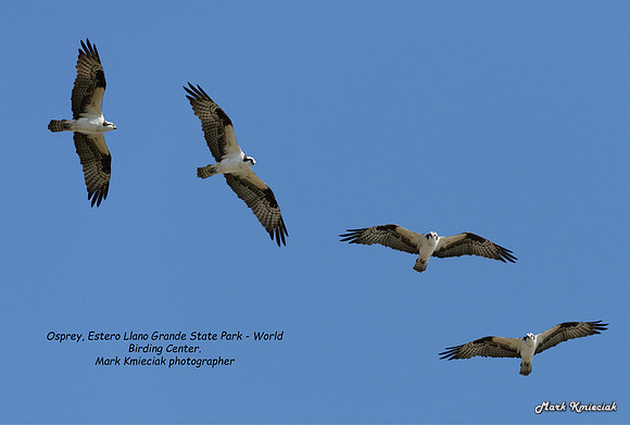 Estero Llano Grande-MAK_2779-Edit