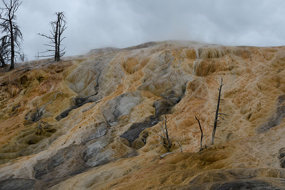 yellowstonetc-7567