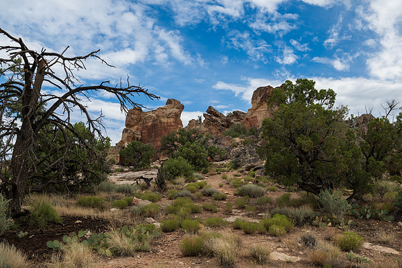 Hovenweep National Monument-8266
