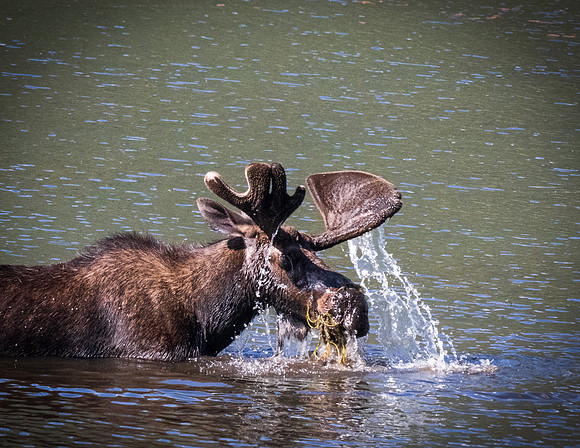 Rocky Mountain NP _MAK7147