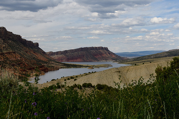 yellowstonetc-7979