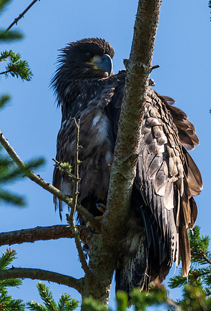 Whidbey Island-_MAK8036