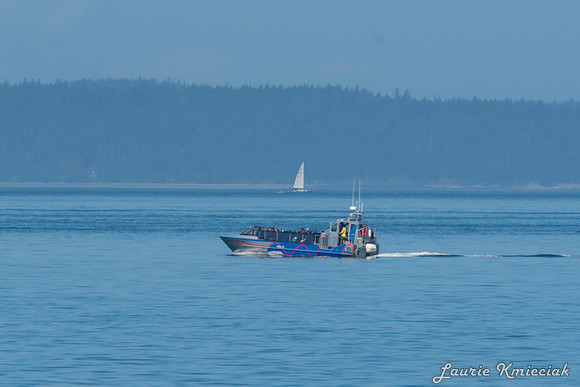 Nwhidby-LAK_3719