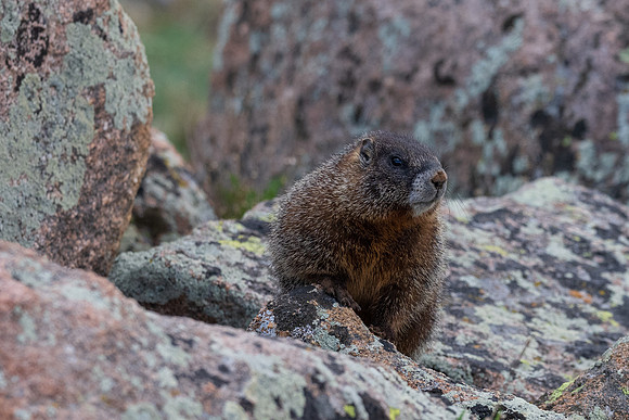 Rocky Mountain NP _MAK6246